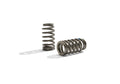 302R Valve Spring Kit