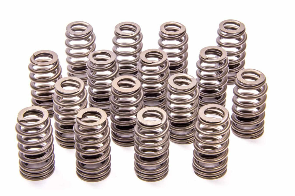 302R Valve Spring Kit