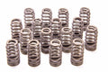 302R Valve Spring Kit