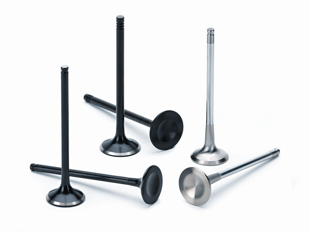 EV8 Stainless Steel Exhaust Valve