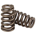 .660" Dual Valve Spring Kit