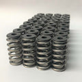 .660" Dual Valve Spring Kit