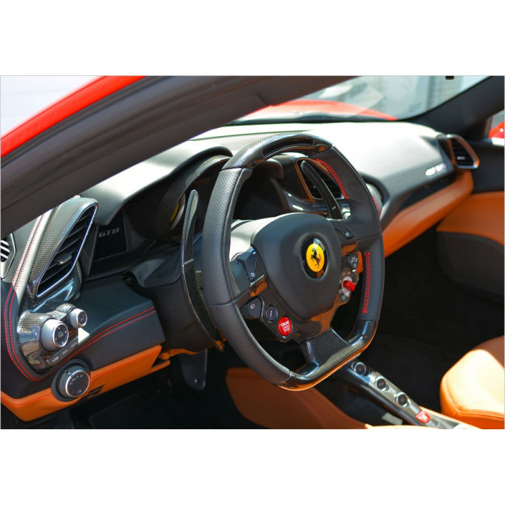 Extended Carbon Fibre F1 Shift Paddles