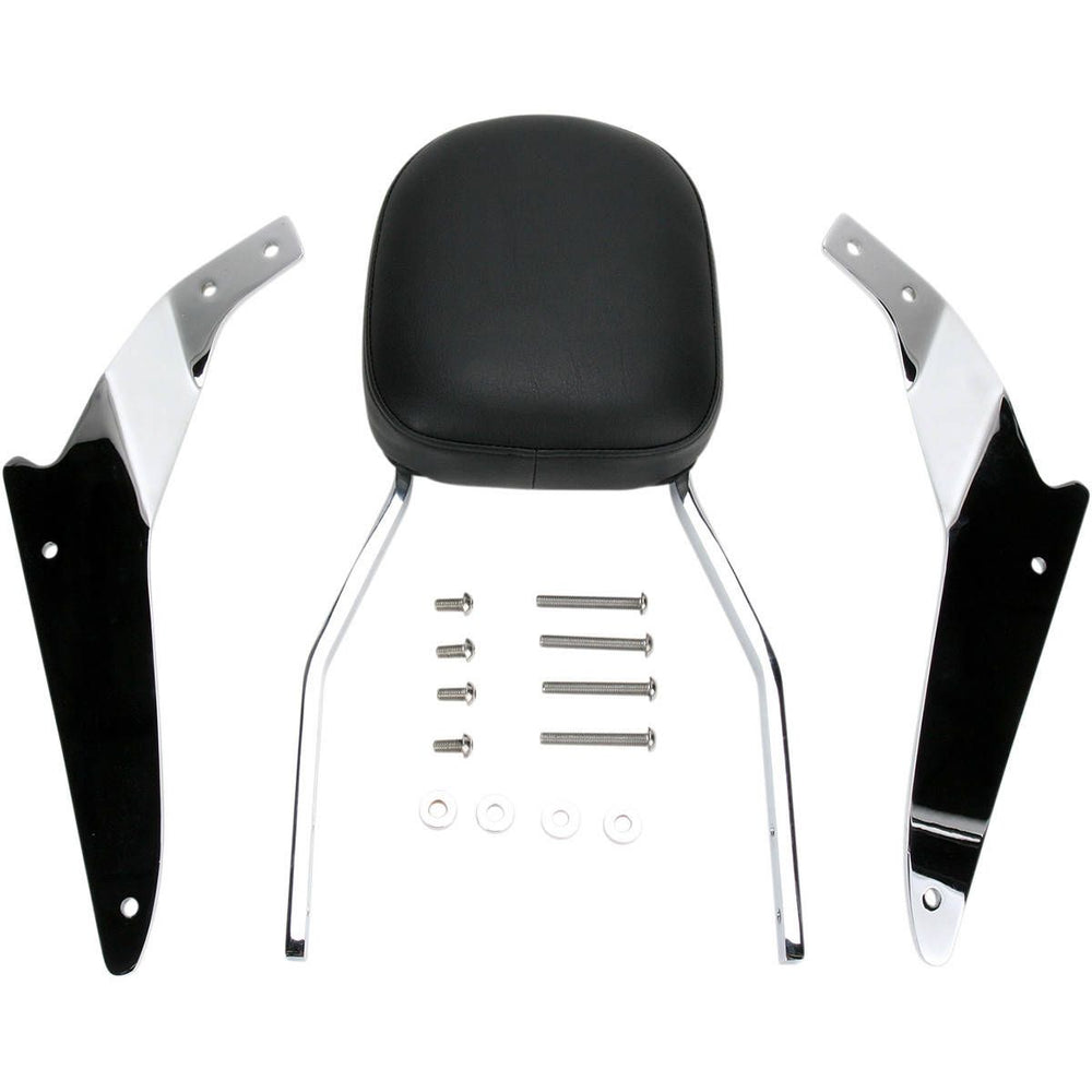 17-Inch Sissy Bar with Freedom Pad