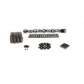 XFI RPM Hi-Lift 222/224 Hydraulic Roller Camshaft