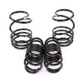 Spec-R Lowering Springs