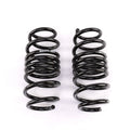 Spec-R Lowering Springs