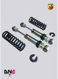 Rear Coilover Shock Absorber Kit