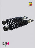 Rear Coilover Shock Absorber Kit