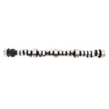 Camshaft and Lifter Kit