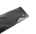 Carbon Fiber Center Intake Panel