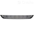 Fiesta Bumper Grille