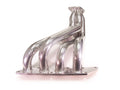 4-1 Race Header