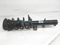 Front Driver Side Strut and Spring Assembly