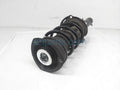 Front Driver Side Strut and Spring Assembly