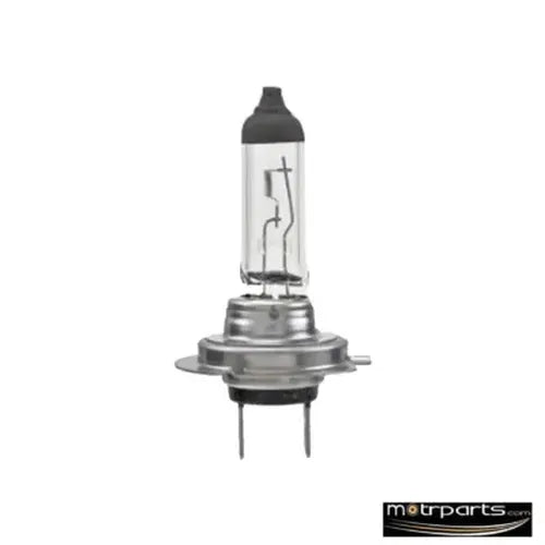 H7 Standard Bulb