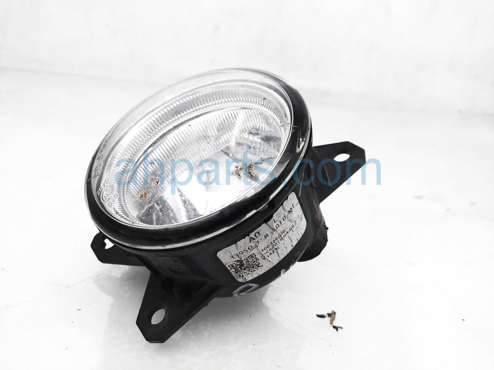 Fog Light Assembly