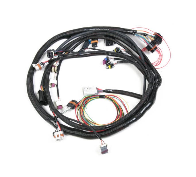 LS Main Harness 58x Crank/4x Cam