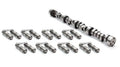 Hydraulic Roller Camshaft and Lifter Kit
