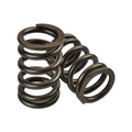 Single Valve Spring & Titanium Retainer Set