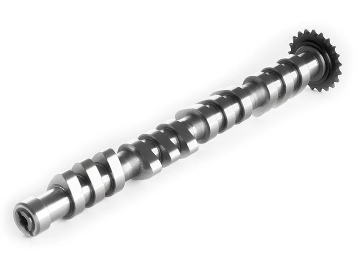Race Intake Camshaft
