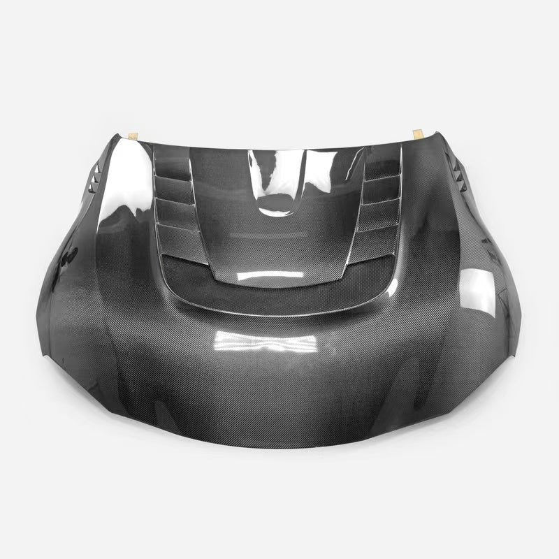 Tanso Carbon Fiber Hood VS Style