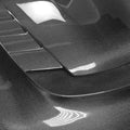 Tanso Carbon Fiber Hood VS Style