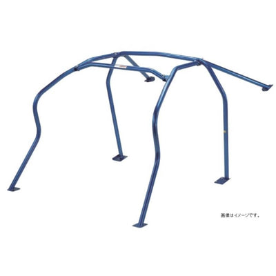 D1 7-Point Through-Dash Roll Cage