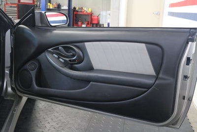 Trans-Am Style Door Panel Insert