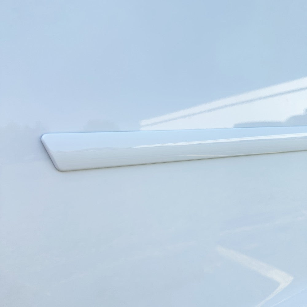 Painted Body Side Molding Kit