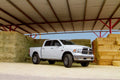 Daystar 2017-2019 Dodge Ram 1500 4WD (DS or DT Body) - 2in Lift Kit