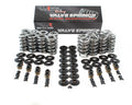 .660" Lift Dual Platinum Spring Kit