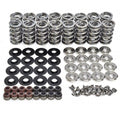 .660" Lift Dual Platinum Spring Kit
