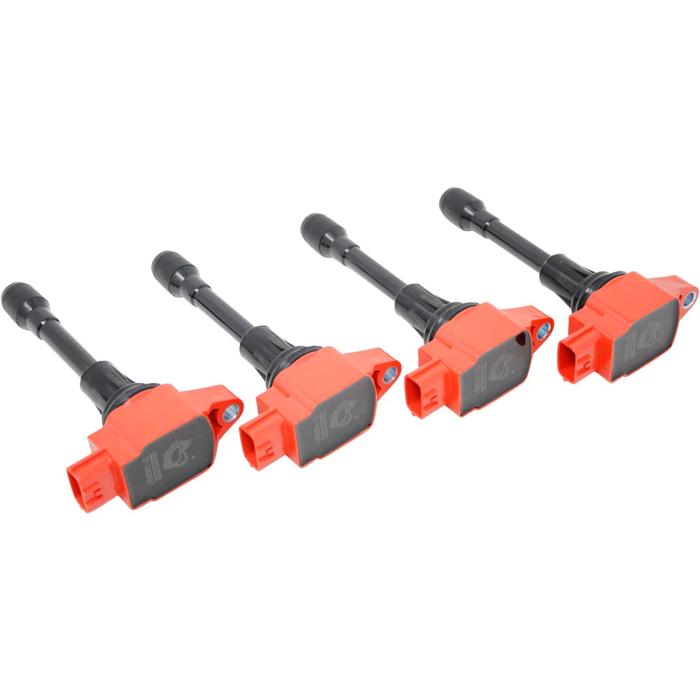Ignition Coil Set