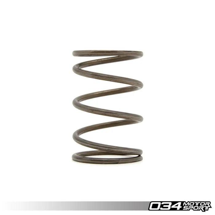 1.9 BAR Wastegate Spring