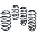 Pro-Kit Lowering Springs