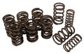 Dual Valve Springs Set of 8