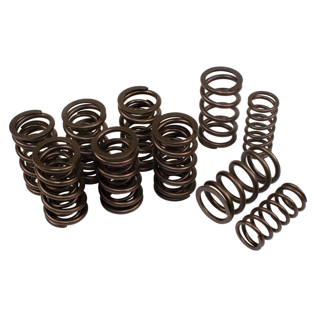 Dual Valve Springs Set of 8