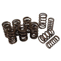 Dual Valve Springs Set of 8
