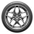Firehawk AS V2 Tire