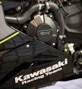 Engine Cover Set Kawasaki ZX6R/ZX636