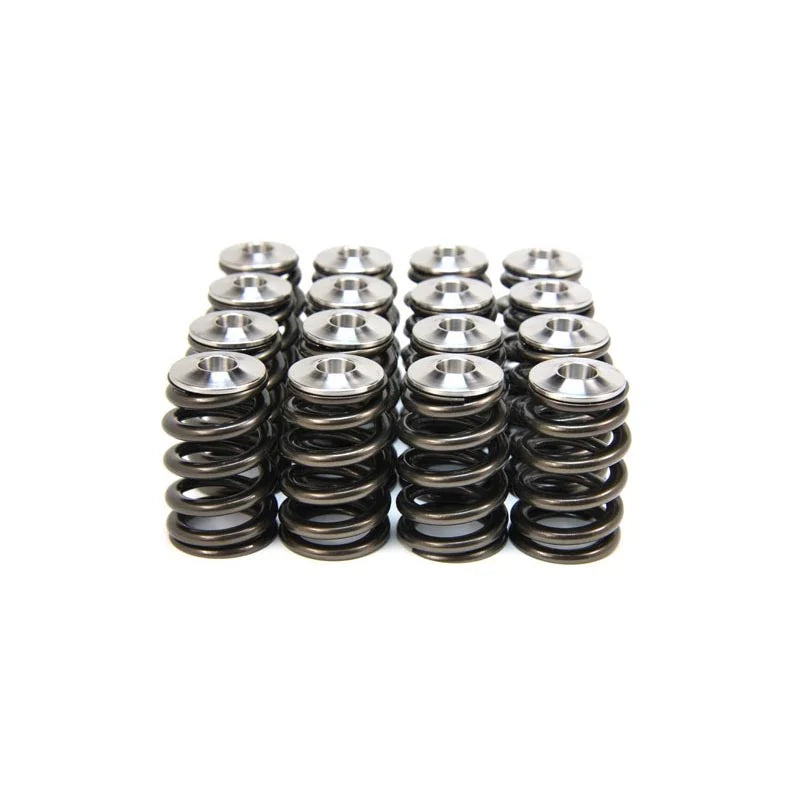 Single Valve Spring Kit