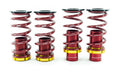 Coil-Over Conversion Kit