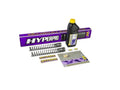 Fork Spring Kit