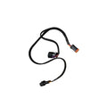FLX01 Flex Fuel Upgrade Kit