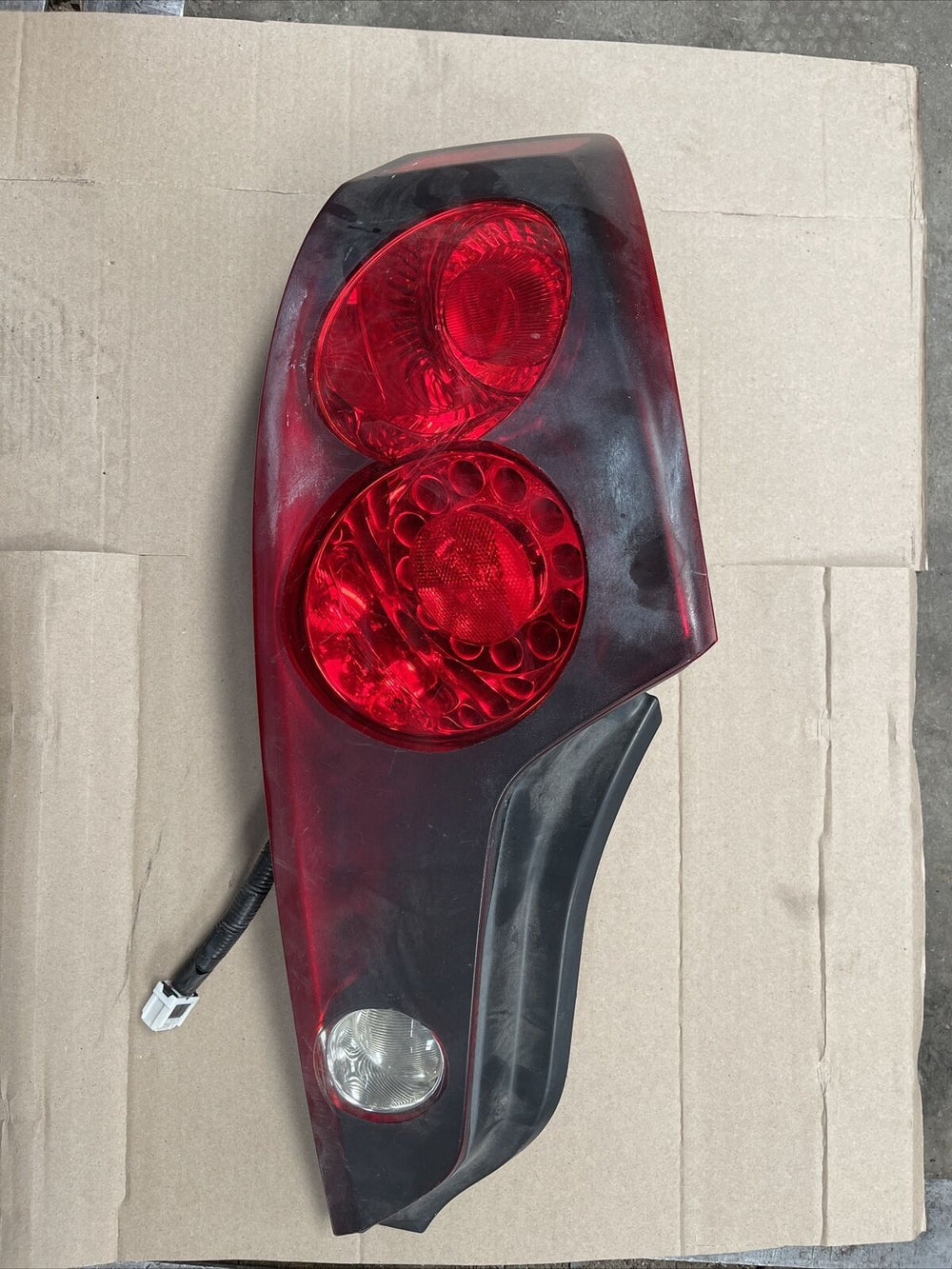Tail Lamp Assembly