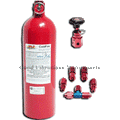 Coldfire 302 5lb Fire System