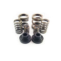 Governor Spring Kit