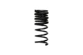 Progressive Lowering Springs