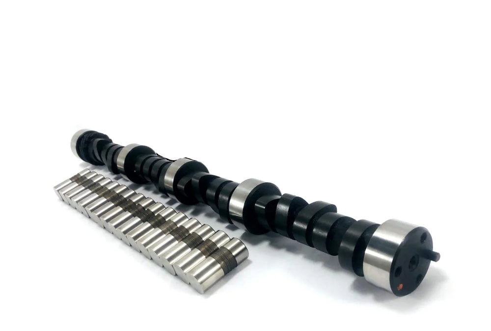 Pro Stage 2 Camshaft and Lifters Kit